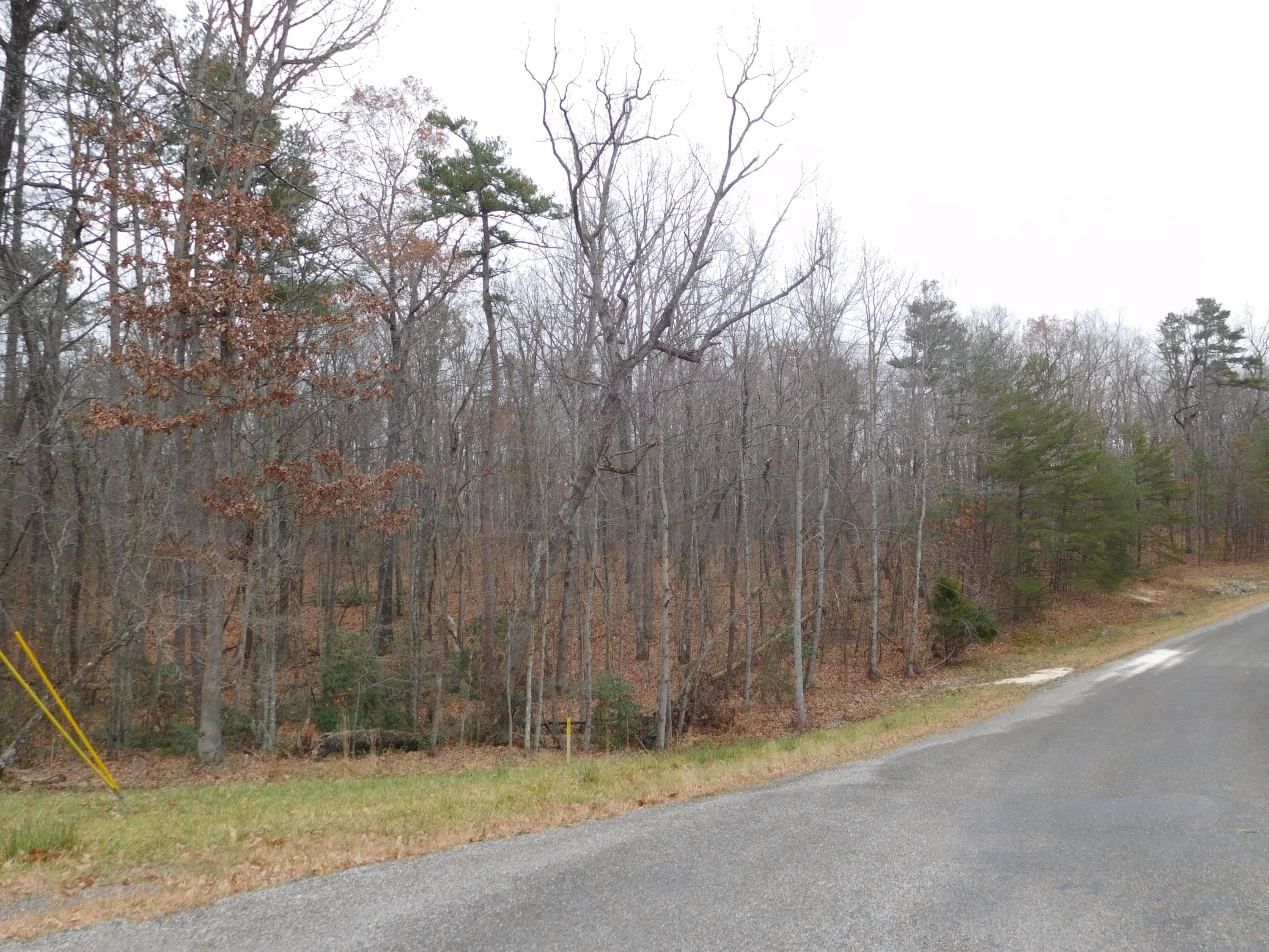 Harv Loop, Unit 7 Monterey, TN 38574 - Photo 1 of 7 DSCN2778