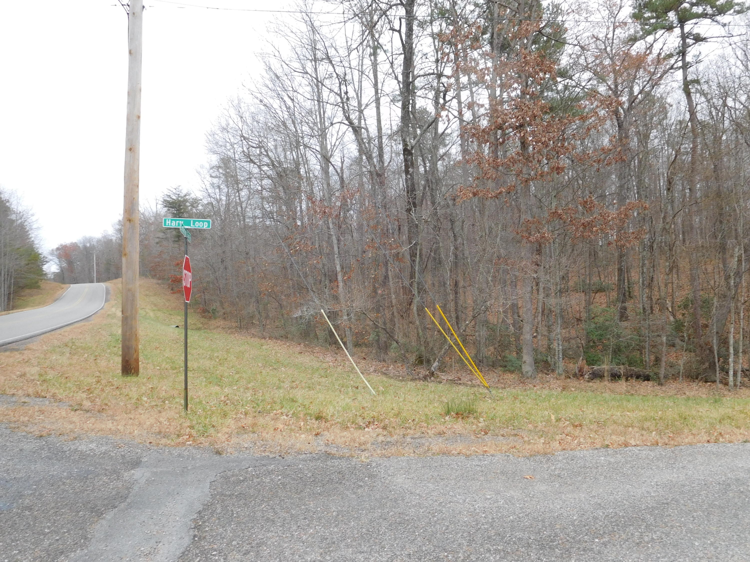 Harv Loop, Unit 7 Monterey, TN 38574 - Photo 2 of 7 DSCN2779