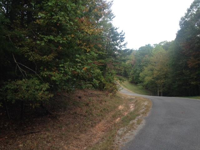 Harv Loop, Unit 7 Monterey, TN 38574 - Photo 6 of 7 summertime lot on left
