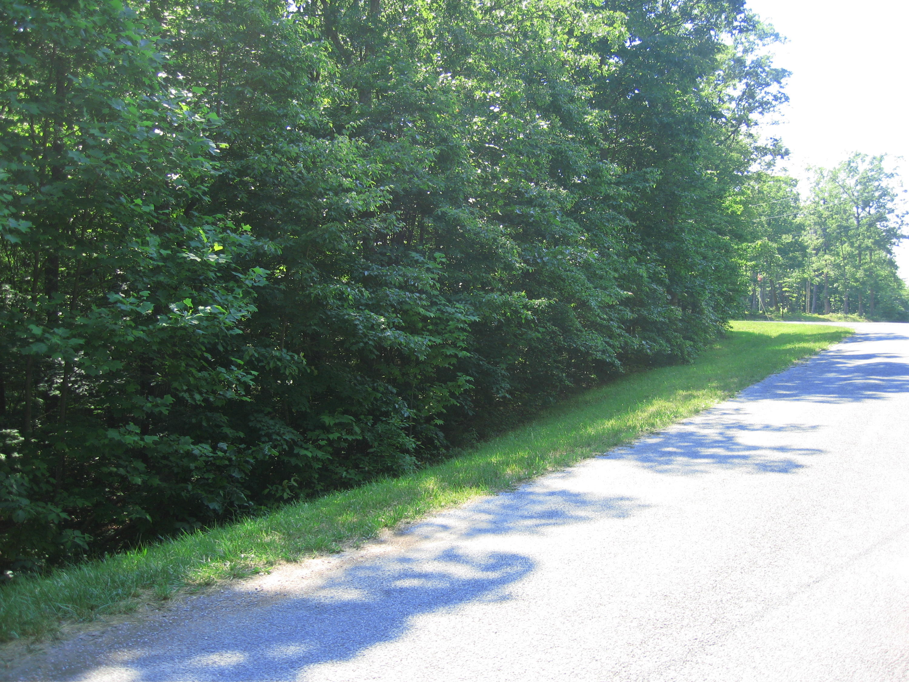Harv Loop, Unit 7 Monterey, TN 38574 - Photo 7 of 7 summertime on lot