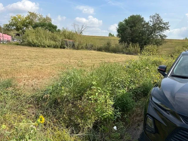 a view of an outdoor space and a yard