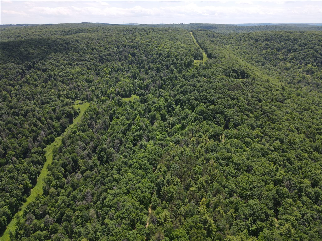 Vl Catatunk Road, Unit R Canisteo, NY 14823 - Photo 13 of 50