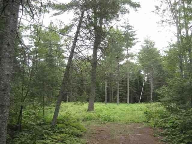 4720 Boyer Road Mercer, WI 54547 - Photo 10 of 20 Gallery Image 10