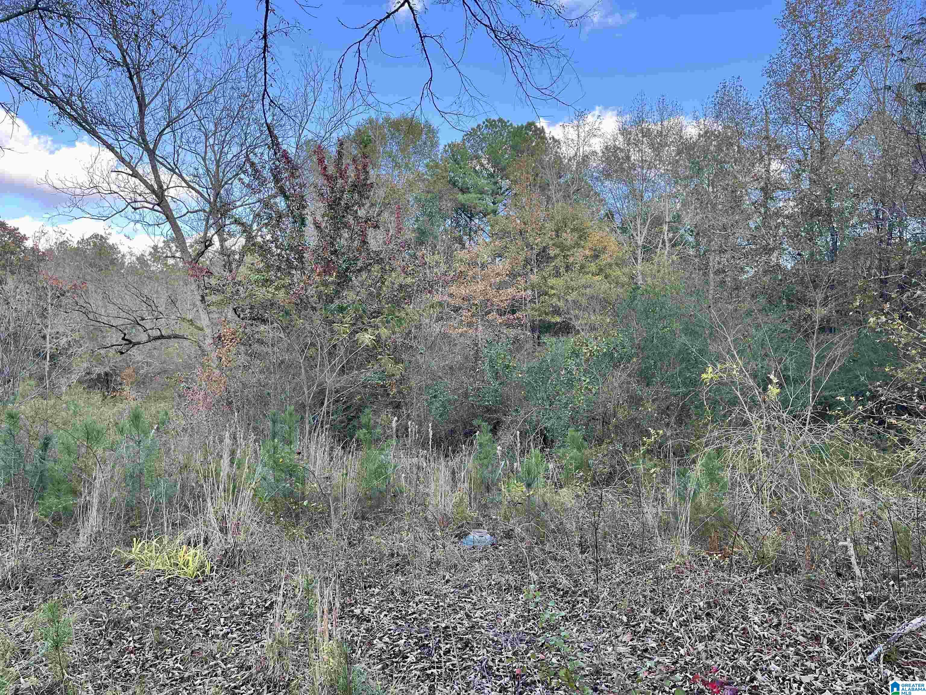 1720 Pleasant Valley Road, Unit 1 Pell City, AL 35125 - Photo 13 of 16