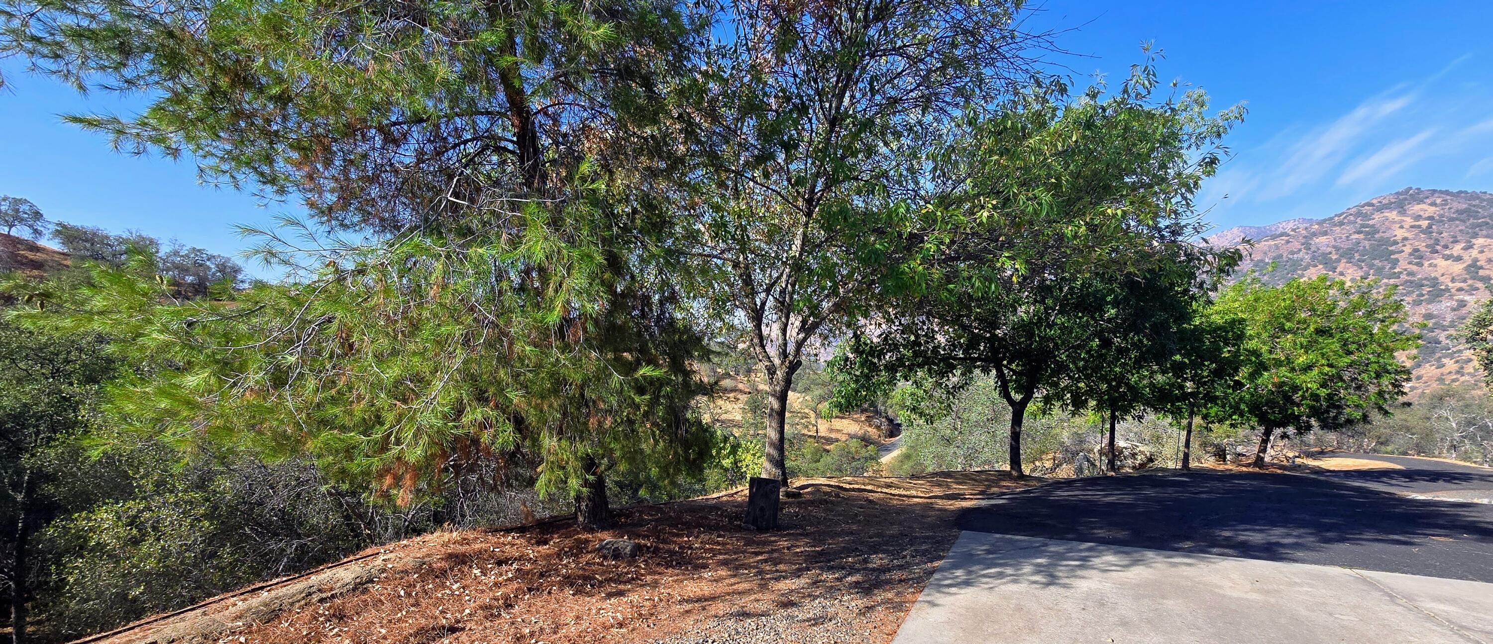 41299 East Mynatt Drive Three Rivers, CA 93271 - Photo 13 of 121 20250929_100006