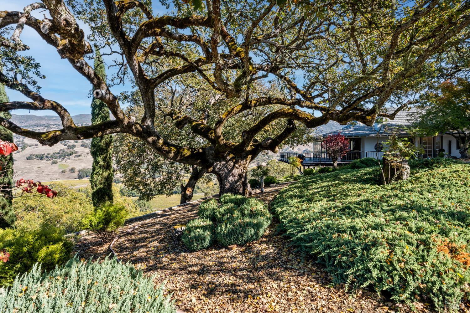 241 Henry Station Road Ukiah, CA 95482 - Photo 15 of 76