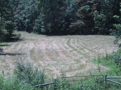 1866 Webb Mountain Road Boones Mill, VA 24065 - Photo 23 of 32 Pasture