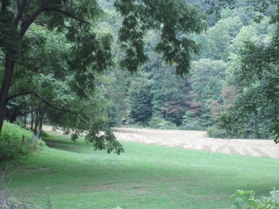 1866 Webb Mountain Road Boones Mill, VA 24065 - Photo 25 of 32 Field