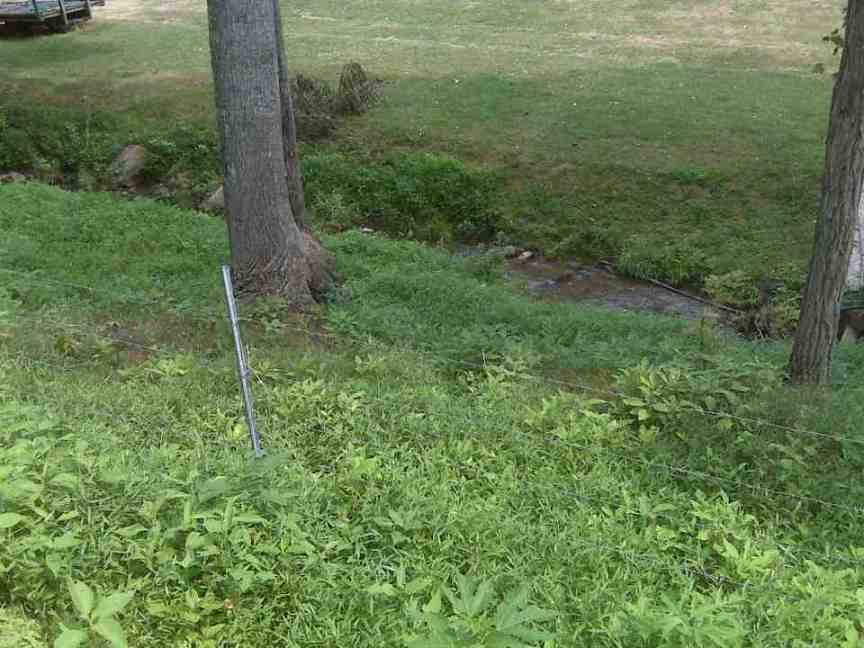 1866 Webb Mountain Road Boones Mill, VA 24065 - Photo 26 of 32 Stream