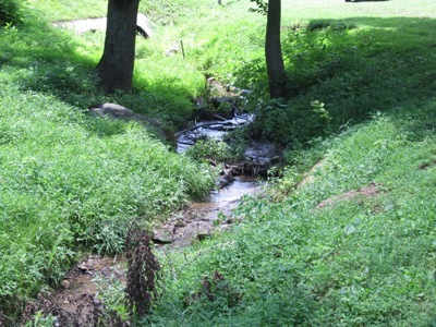 1866 Webb Mountain Road Boones Mill, VA 24065 - Photo 28 of 32 Stream