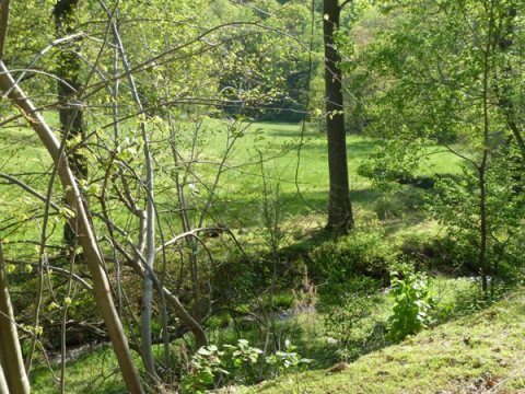 1866 Webb Mountain Road Boones Mill, VA 24065 - Photo 29 of 32 Stream