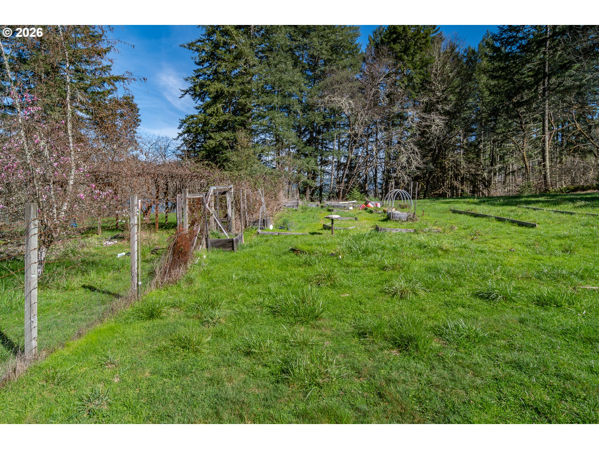 4890 Henderer Road Elkton, OR 97436 - Photo 46 of 48 a green field with lots of trees in the background