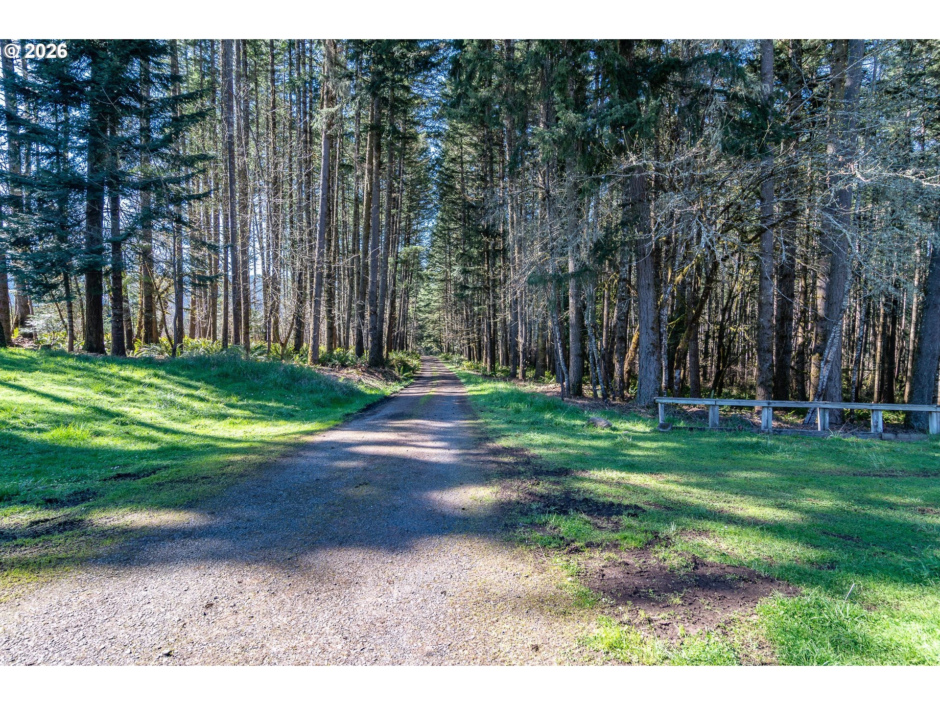 4890 Henderer Road Elkton, OR 97436 - Photo 48 of 48 a view of a park with large trees