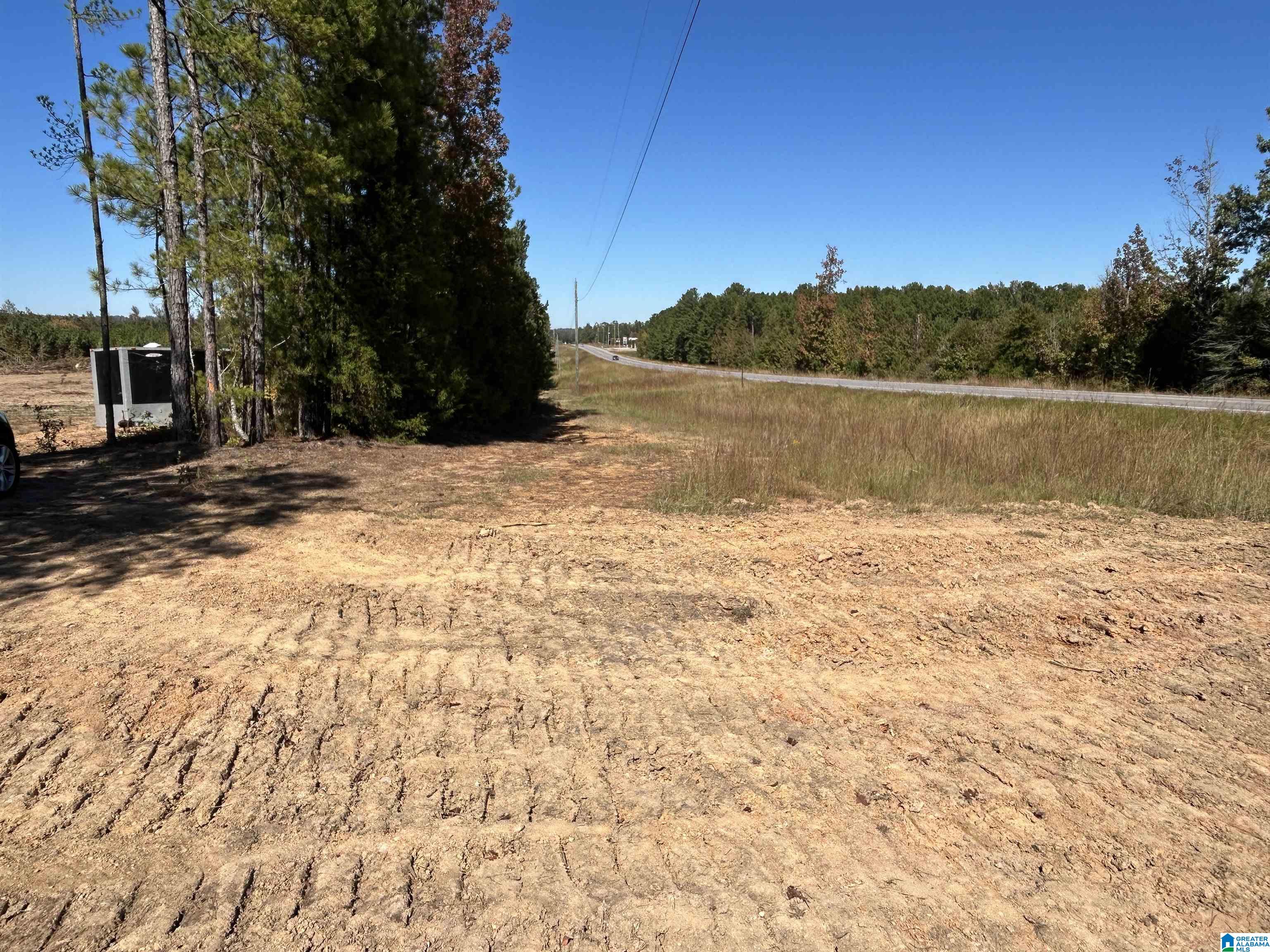 26 Dover Road Ohatchee, AL 36271 - Photo 4 of 7 Gallery Image 4
