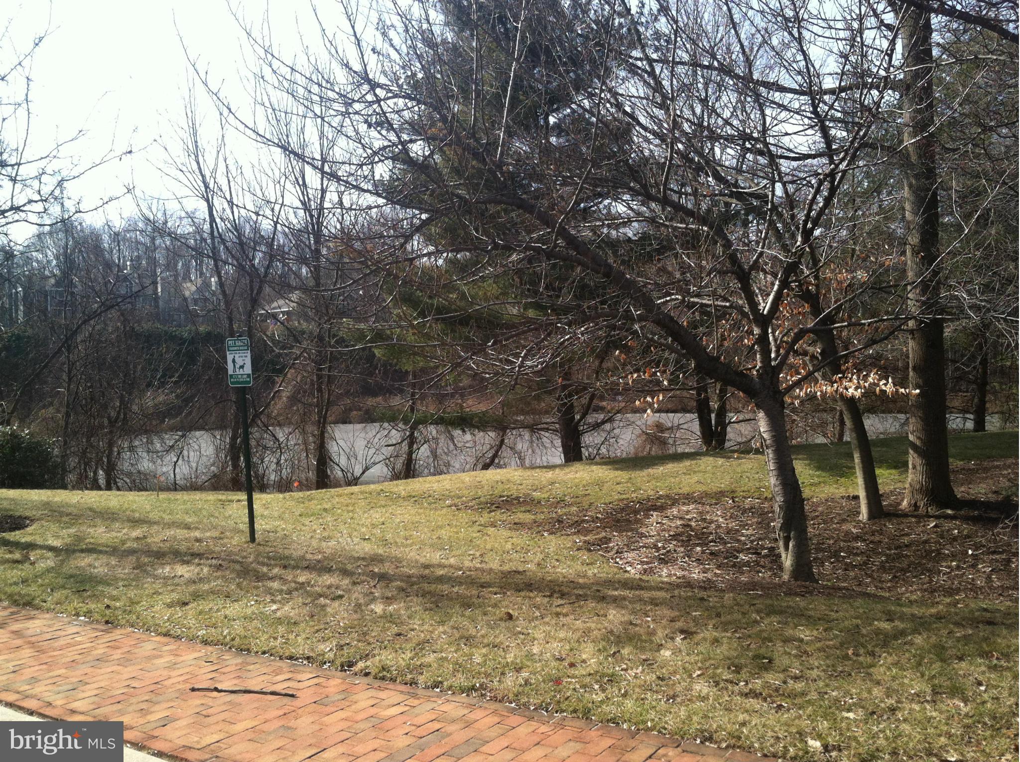 10922 Brewer House Road Rockville, MD 20852 - Photo 26 of 27 a view of a yard with trees