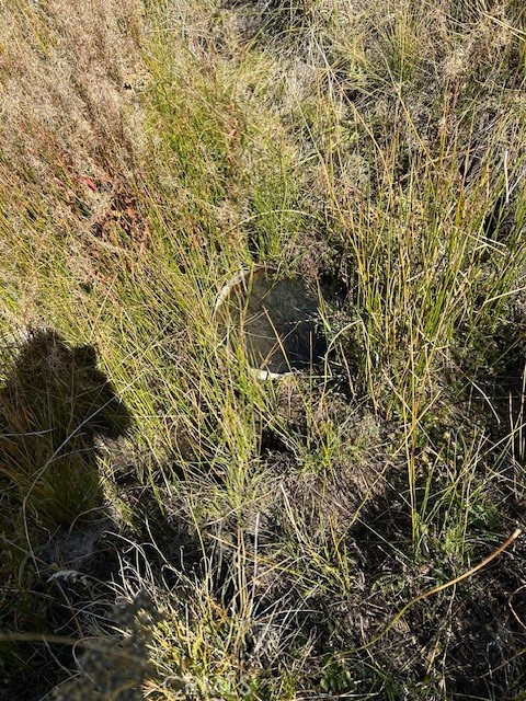 0 310-240-001 Kennedy Meadows Road Inyokern, CA 93527 - Photo 11 of 20 a view of a yard