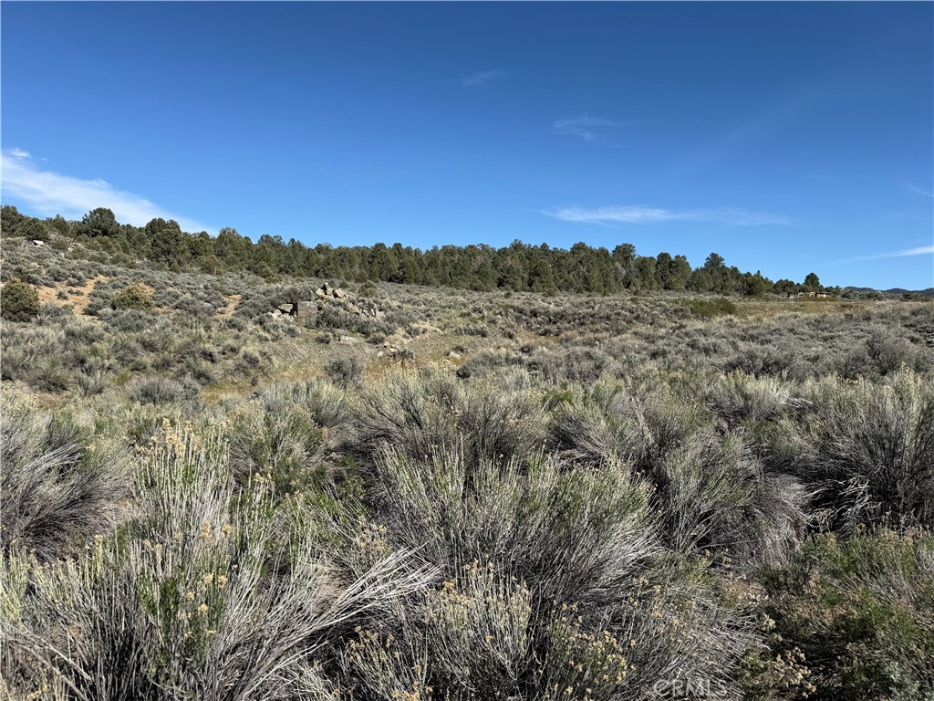 0 310-240-001 Kennedy Meadows Road Inyokern, CA 93527 - Photo 15 of 20 a view of a city