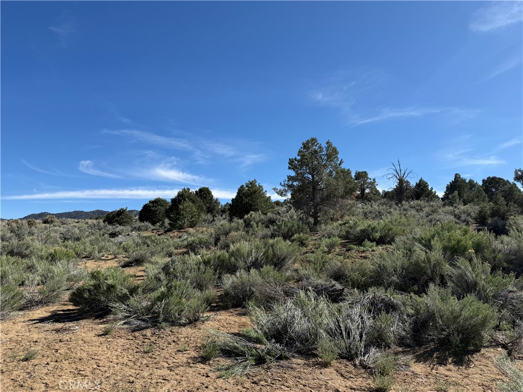 0 310-240-001 Kennedy Meadows Road Inyokern, CA 93527 - Photo 18 of 20 a view of a bunch of trees in a field