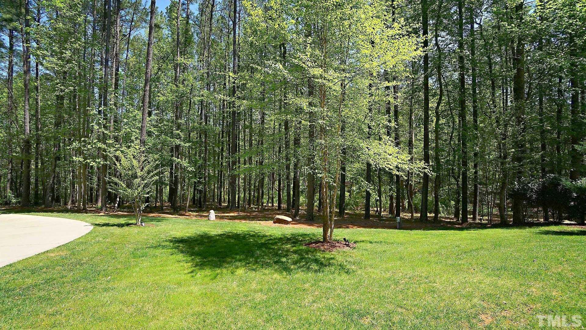 275 Hawfields Drive Pittsboro, NC 27312 - Photo 39 of 44 a backyard of a house with lots of green space