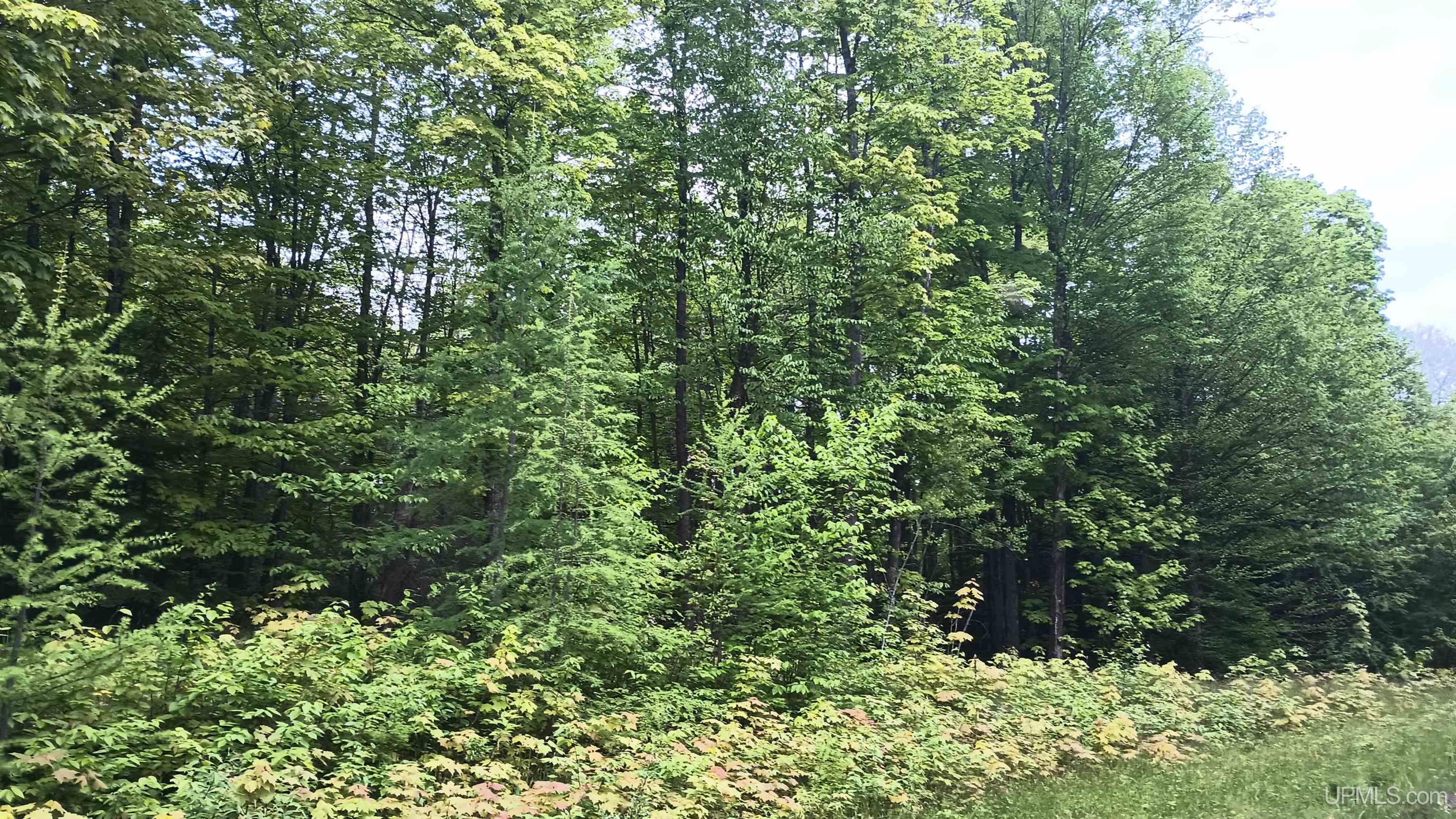 Lot 49 Hewitt Lane Mercer, WI 54547 - Photo 2 of 28 Gallery Image 2