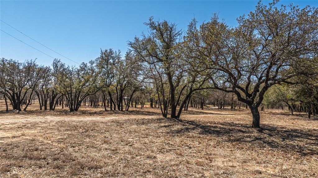 1924 Coleman Ranch Road Tolar, TX 76476 - Photo 2 of 9 a view of road with trees