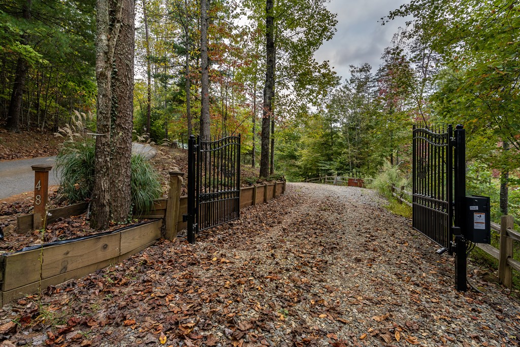 48 Green Ridge Road Blue Ridge, GA 30513 - Photo 4 of 57