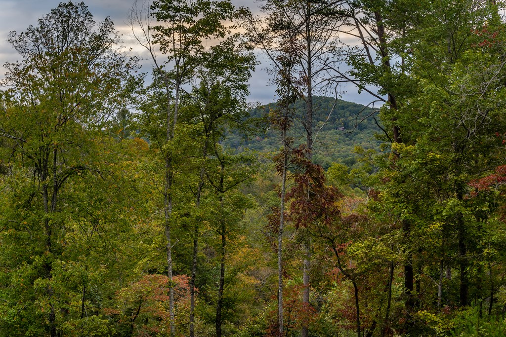 48 Green Ridge Road Blue Ridge, GA 30513 - Photo 54 of 57