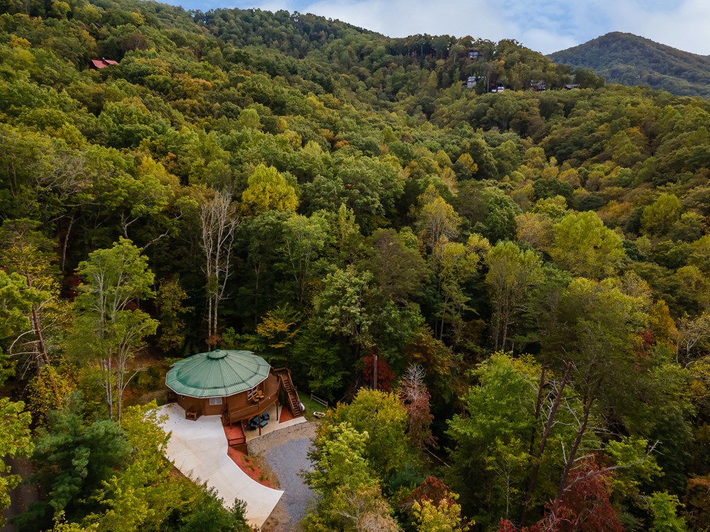 48 Green Ridge Road Blue Ridge, GA 30513 - Photo 56 of 57