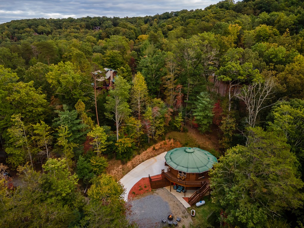 48 Green Ridge Road Blue Ridge, GA 30513 - Photo 57 of 57