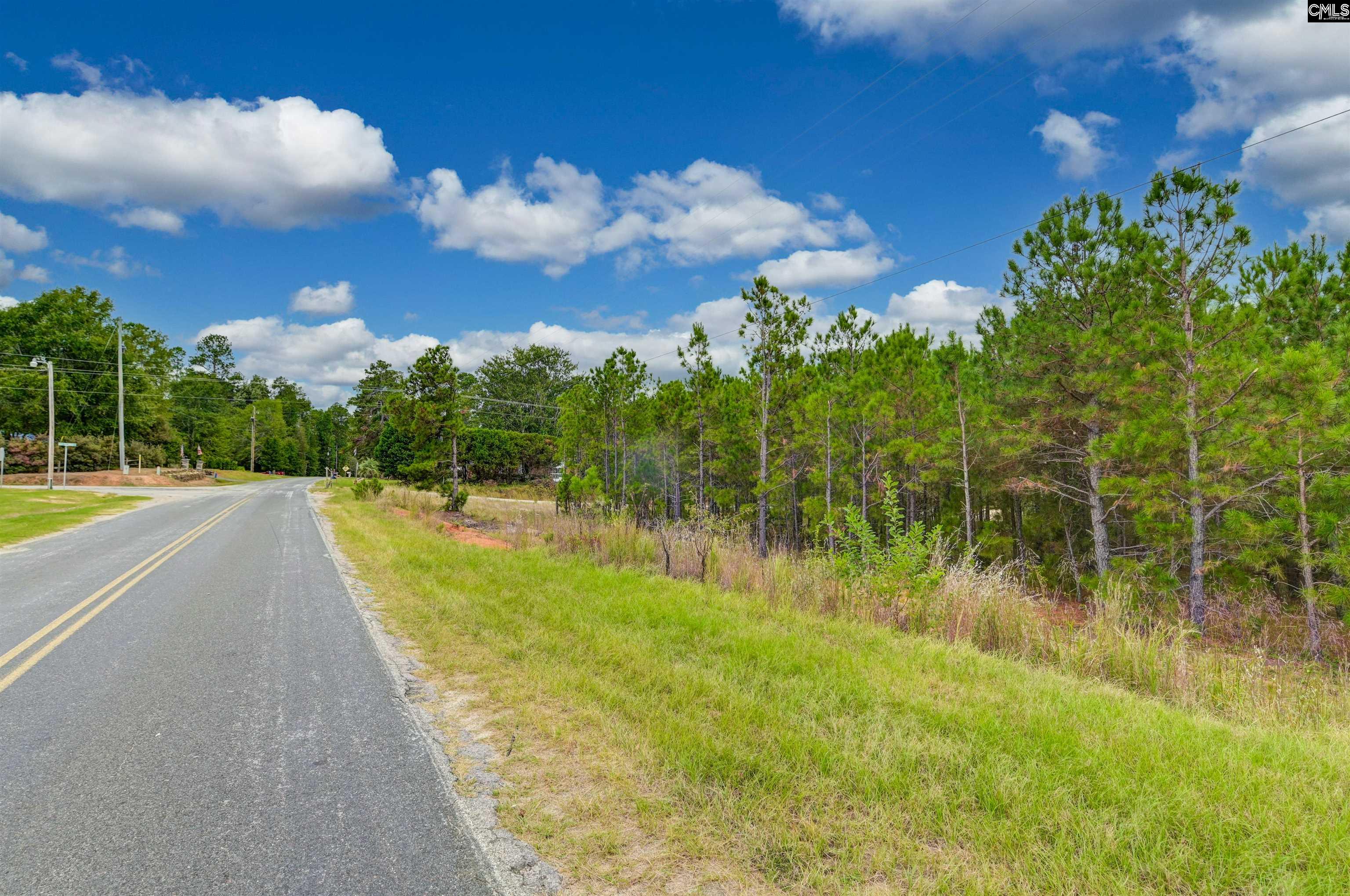 0 Windmill Road Leesville, SC 29070 - Photo 4 of 12