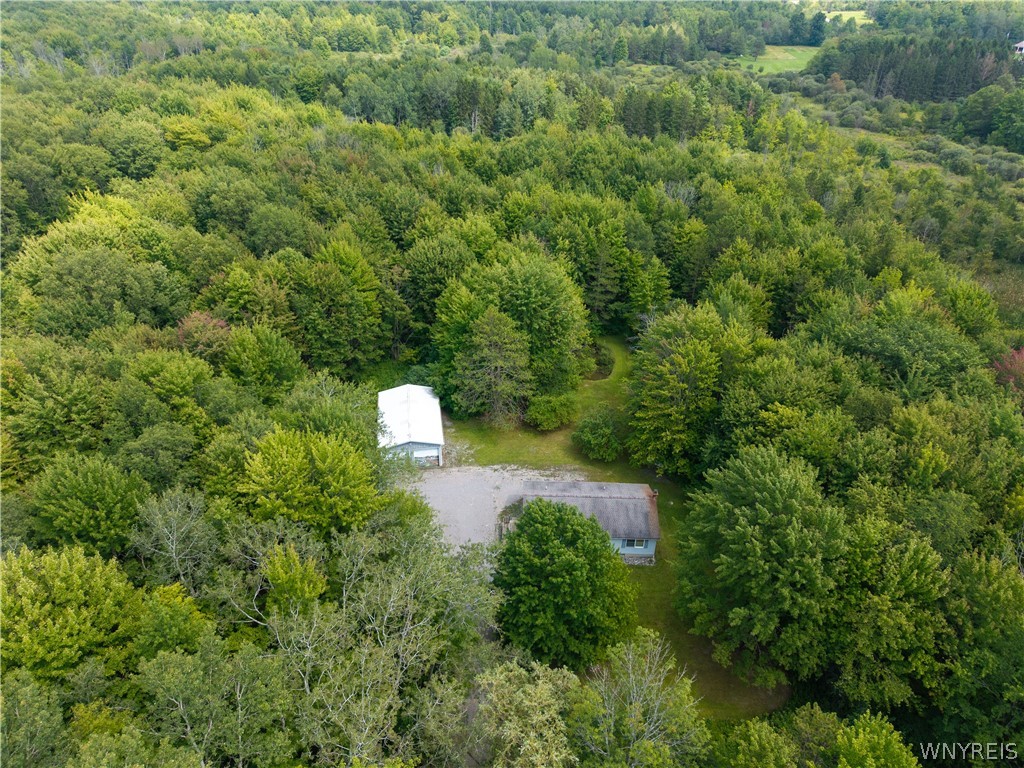 637 Burroughs Road Bennington, NY 14011 - Photo 8 of 50 Drone Property View