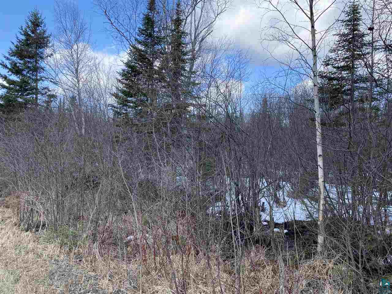 2 X Stonegate Road Hovland, MN 55606 - Photo 11 of 12