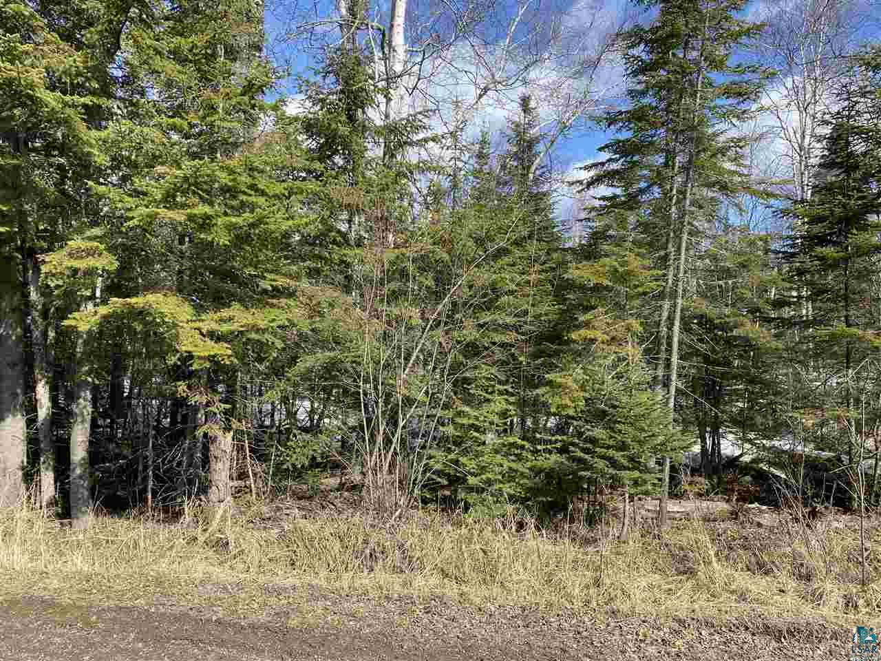2 X Stonegate Road Hovland, MN 55606 - Photo 2 of 12