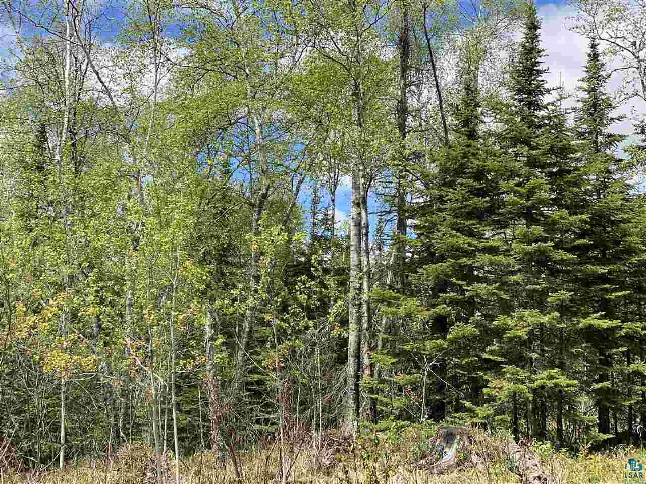 2 X Stonegate Road Hovland, MN 55606 - Photo 5 of 12