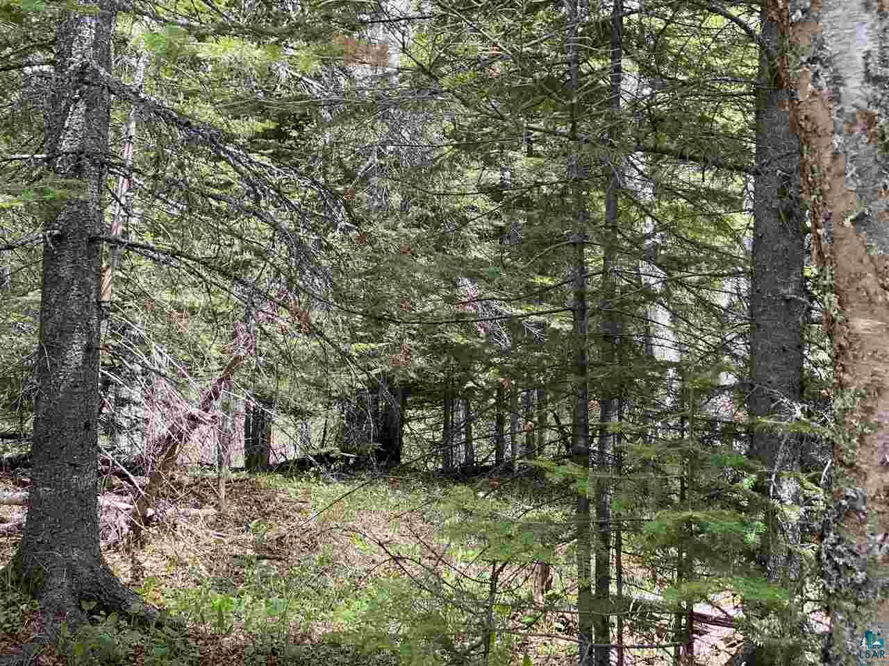 2 X Stonegate Road Hovland, MN 55606 - Photo 10 of 12