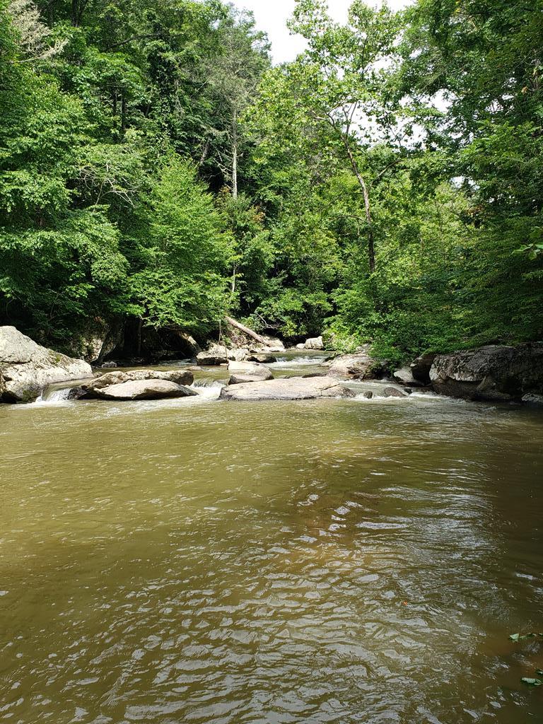 Tbd Turkey Knob Road, Unit 3975 Fries, VA 24330 - Photo 1 of 1 Gallery Image 1