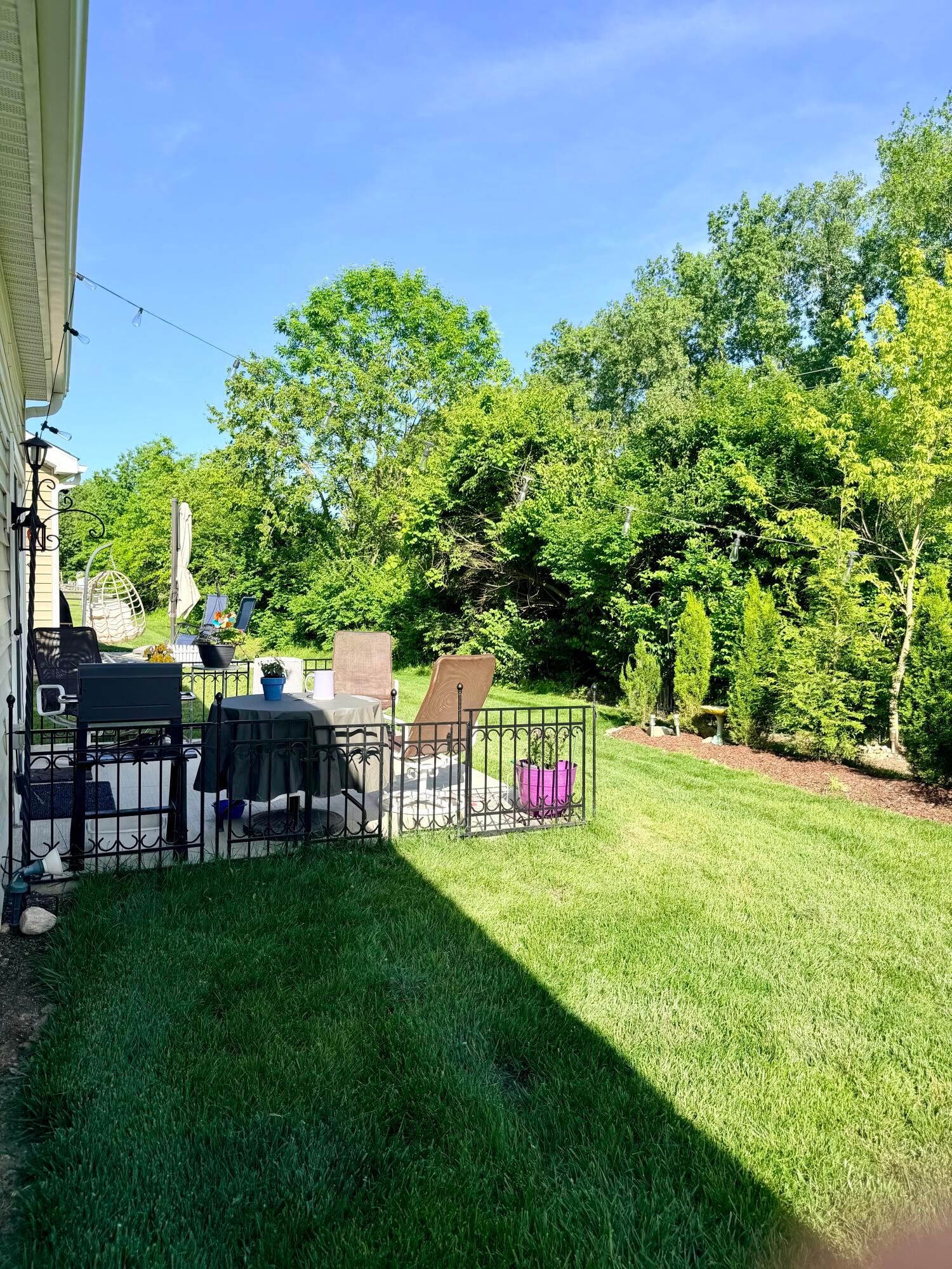 181 Lenell Loop Delaware, OH 43015 - Photo 28 of 29 Back Yard