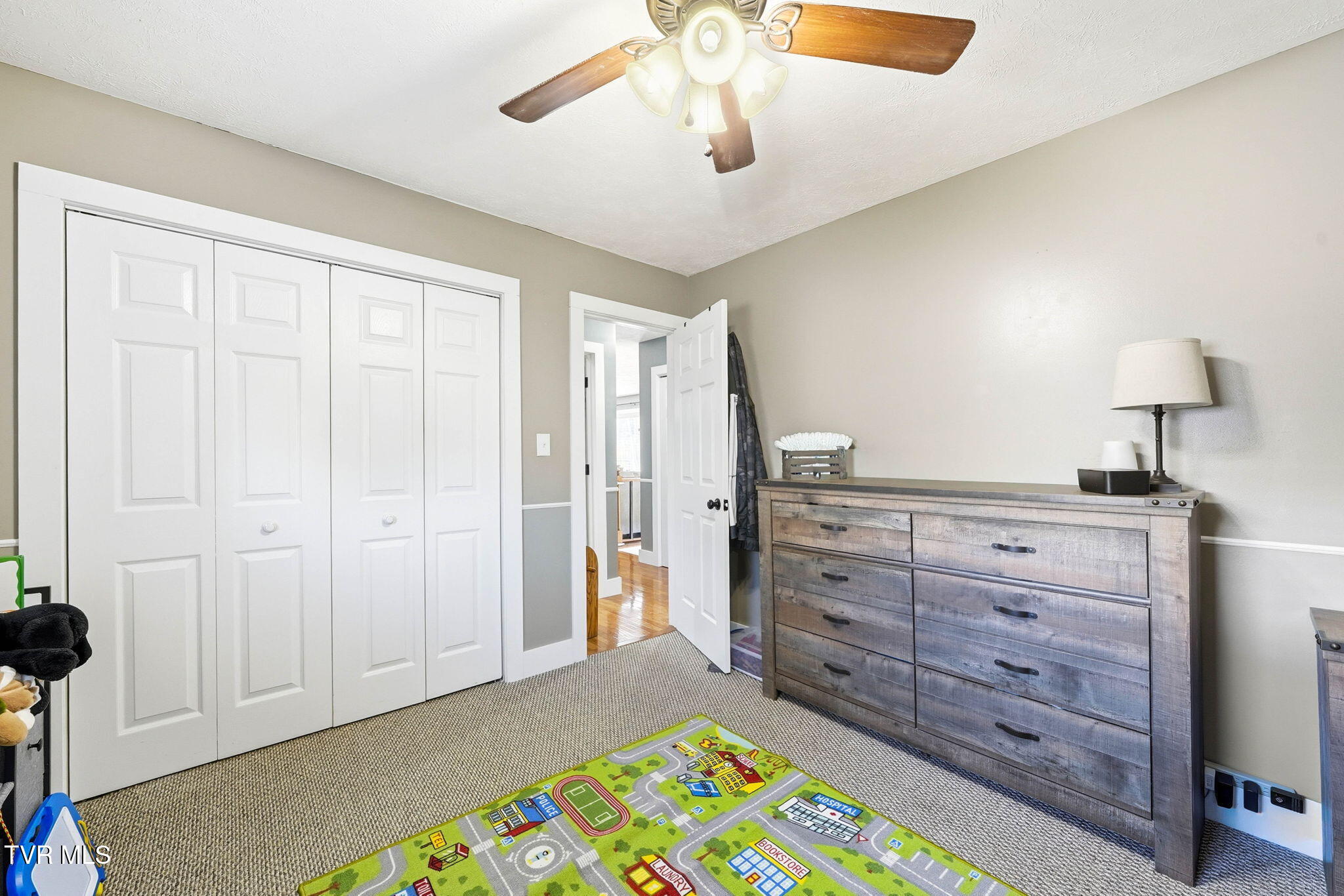 326 Big Springs Road Elizabethton, TN 37643 - Photo 21 of 31 5-web-or-mls-326_Big Springs Rd-13