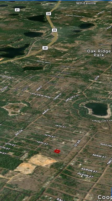 47 13th Street Interlachen, FL 32148 - Photo 5 of 5