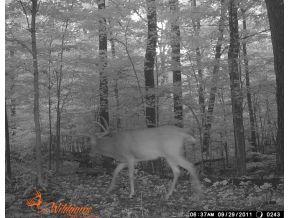 0 Jonesville Road Columbus, IN 47201 - Photo 8 of 12 Gallery Image 8