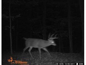 0 Jonesville Road Columbus, IN 47201 - Photo 9 of 12 Gallery Image 9