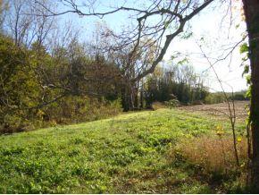 0 Jonesville Road Columbus, IN 47201 - Photo 10 of 12 Gallery Image 10