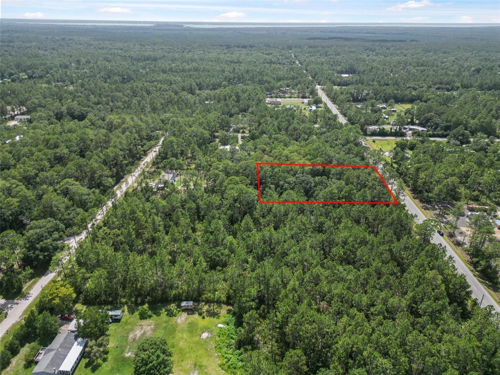 5875 Mahogany Boulevard Bunnell, FL 32110 - Photo 11 of 19 an aerial view of forest