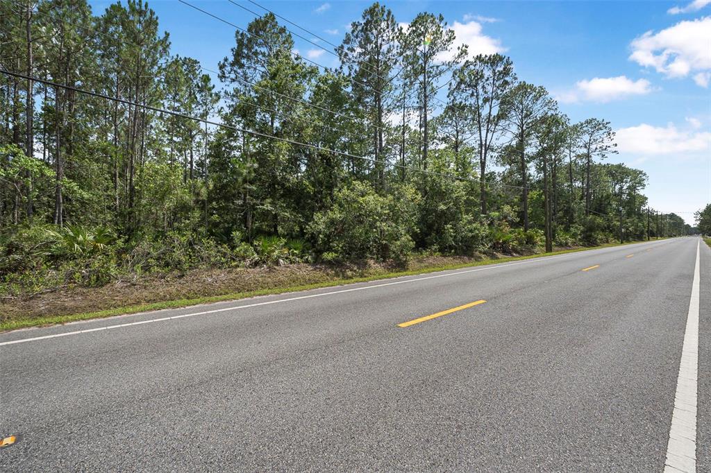 5875 Mahogany Boulevard Bunnell, FL 32110 - Photo 12 of 19 a view of a road with a trees