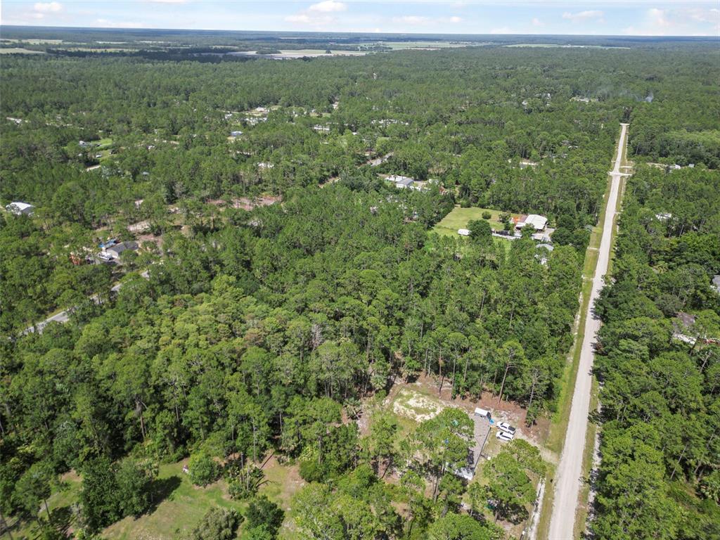 5875 Mahogany Boulevard Bunnell, FL 32110 - Photo 14 of 19 a view of a green field with lots of trees