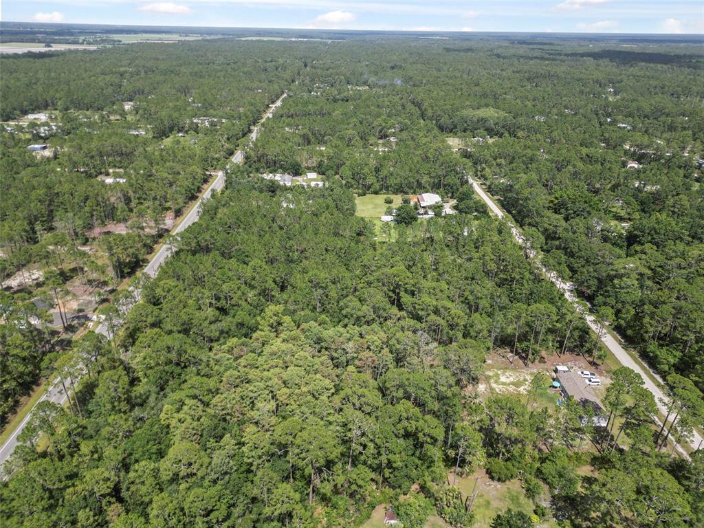 5875 Mahogany Boulevard Bunnell, FL 32110 - Photo 15 of 19 a view of a green field with lots of bushes