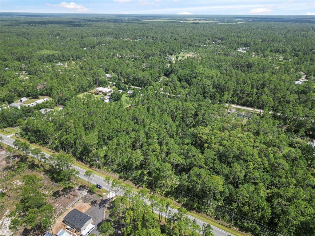 5875 Mahogany Boulevard Bunnell, FL 32110 - Photo 16 of 19 a view of a city with lush green forest