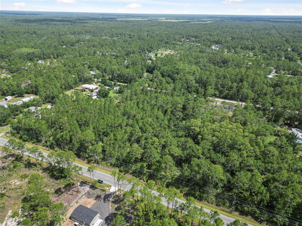 5875 Mahogany Boulevard Bunnell, FL 32110 - Photo 17 of 19 a view of a green field with lots of bushes