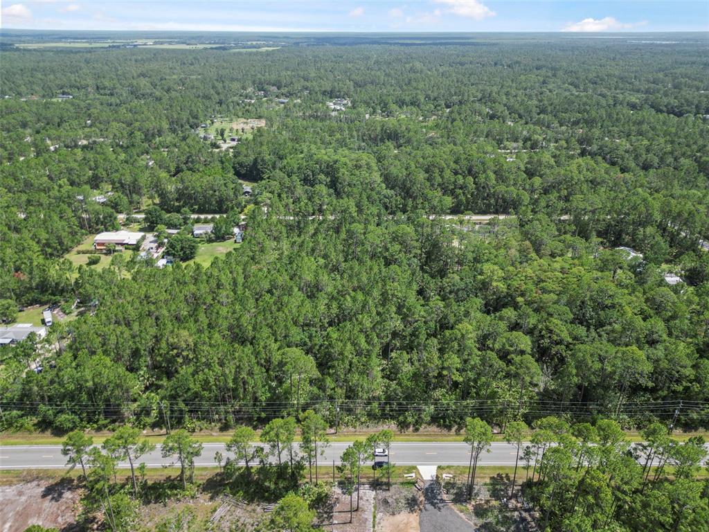 5875 Mahogany Boulevard Bunnell, FL 32110 - Photo 18 of 19 a view of a forest with a street