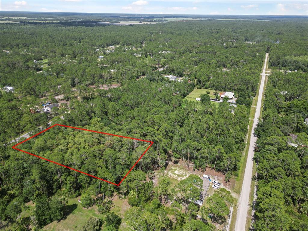 5875 Mahogany Boulevard Bunnell, FL 32110 - Photo 5 of 19 a view of a green field with lots of trees
